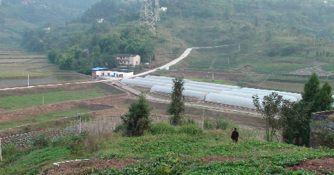 沼渣沼液抽排機